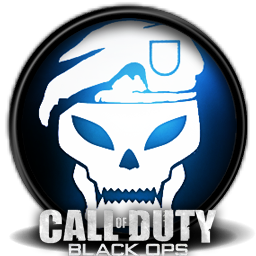 Call of Duty Black Ops 2 online